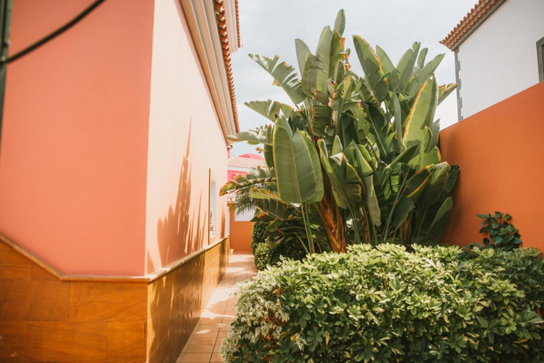 Villa Morada Sonneland Con Piscina Privada Climatizada マスパロマス エクステリア 写真